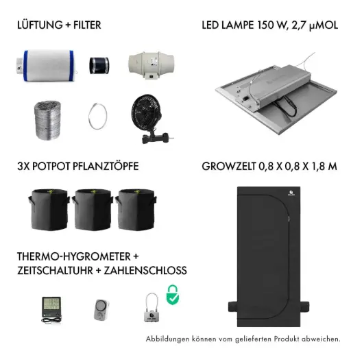 [901004] Caluma Komplettset 2 Pflanzen (80 x 80 cm, 150 W)